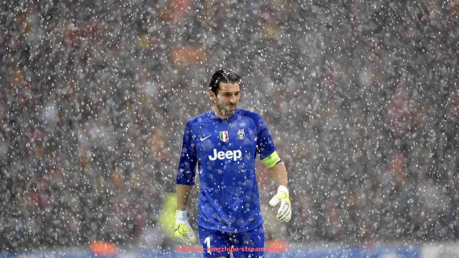 王者体育直播-德甲球队弗赖堡的最新比分与赛季表现分析