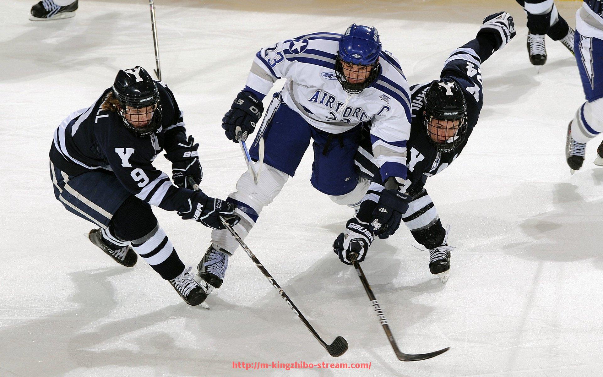 王者体育直播-意甲球队踢球队员名单及主力阵容分析